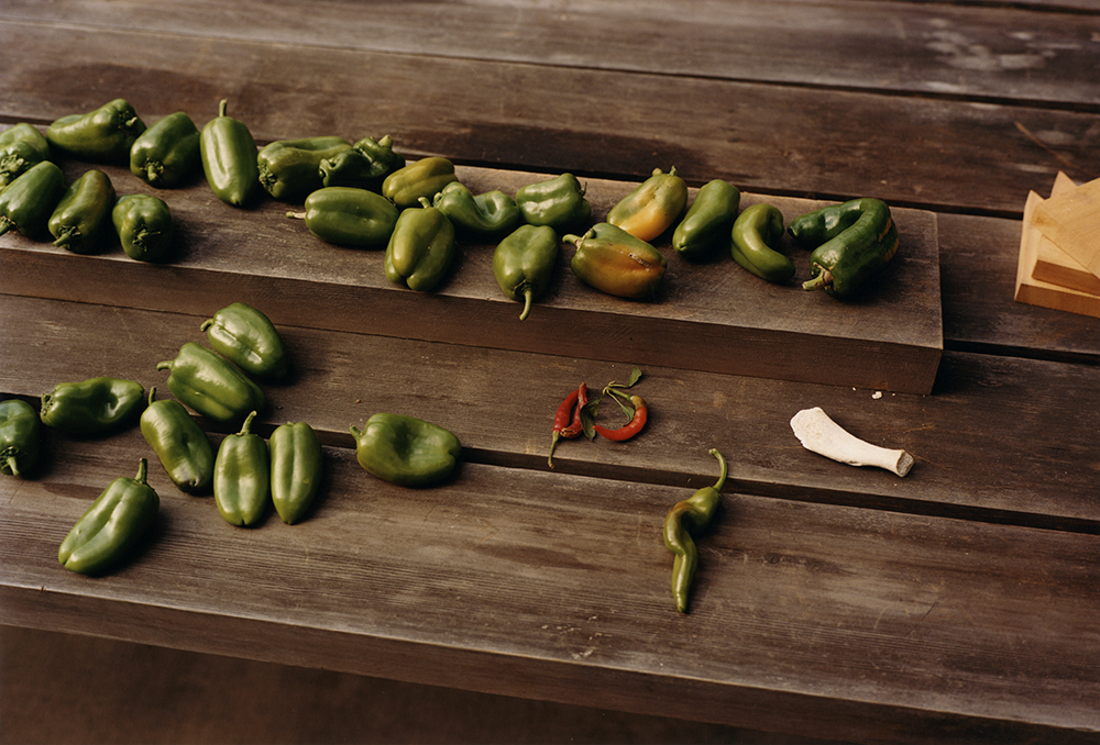 chiles2.jpg